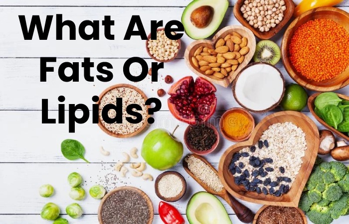What Are Fats Or Lipids_