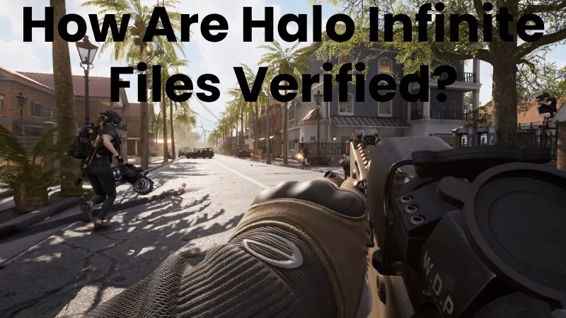 How Are Halo Infinite Files Verified?
