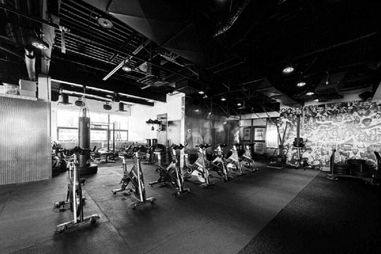 Building a Fitness Ecosystem: Inside ProFit365X